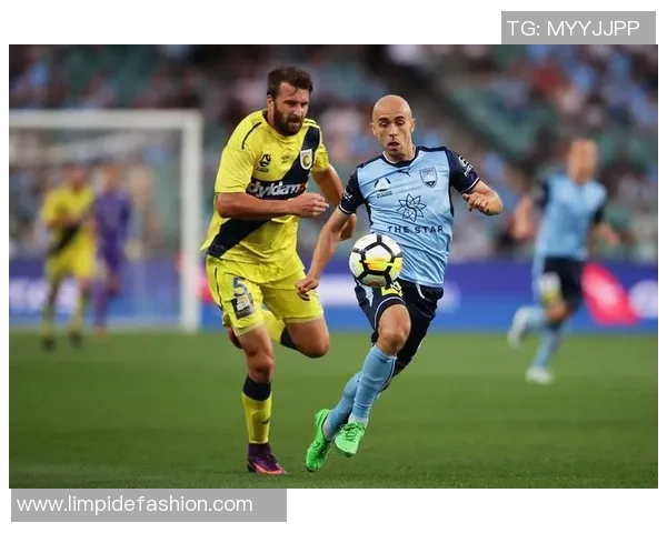 中央海岸水手与布里斯班狮吼的精彩对决前瞻分析与赛季展望